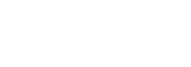 DANE MCFARLANE